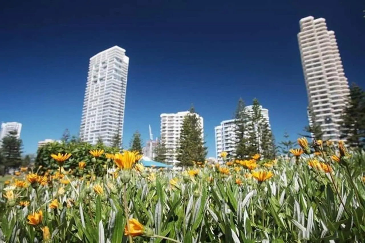 2203 The Wave Apartment Gold Coast